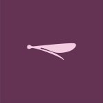 Logo design for Pseudostigmatidae, tropical helicopter damselflies, by logo-design.info